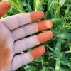 garden.super