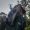 gean_fishing