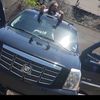 livelifedavis