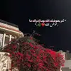 adaoly22