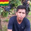 elconsentido790
