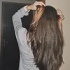 isasil.ves