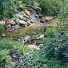 jake_098747