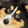 SatisfyingCleaningVideos