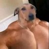 alex6917