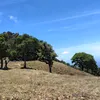 kariell04