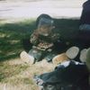 andy_130606