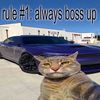 mr_flats