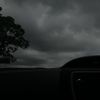 nora_593232