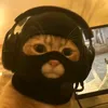knightbyte_zzx