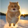 puren_baby_shoop12
