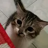 mistercrim11