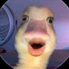 elsanrlaelaa