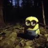 userte4i6gqmb7