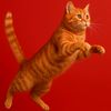 red...merah
