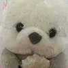 koko_koko2355