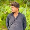 zeeshankhandrazkhel