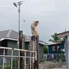 kami_urang_ulu