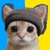 elb_gato