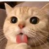 putrriiayyuuuu_