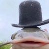 fish_is_a_hat