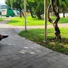 sri_2345677