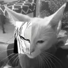 tahalamjarred