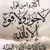 user61933538518727
