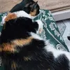 sofianatation5