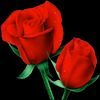 yeahh_cnha
