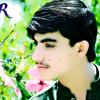 rafeeqafridi10