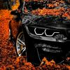 yaseen50560