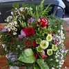 rosedessables589