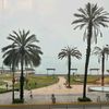 fermen0210