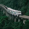 yyds__520