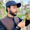 sanaullah033413