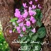 user7201144300965