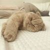 chaima_yasmine_