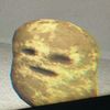eatpoopbr0