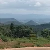 thangbui3620