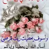 hasnaa6_2