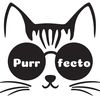 Purrfecto Cat Lounge