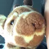 meouuu8