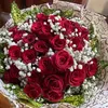 user36bncj0dms