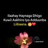 sulekha.bintu.hus