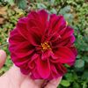 tutty_123