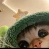 ndah_7522