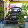shaarijohari8628
