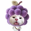 sunisa.thingsa