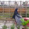 utidaffalathif
